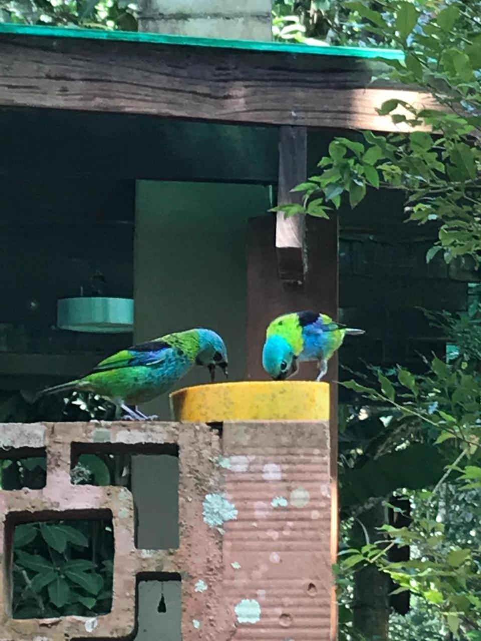 Itamambuca Casas,Suites Ubatuba Zewnętrze zdjęcie